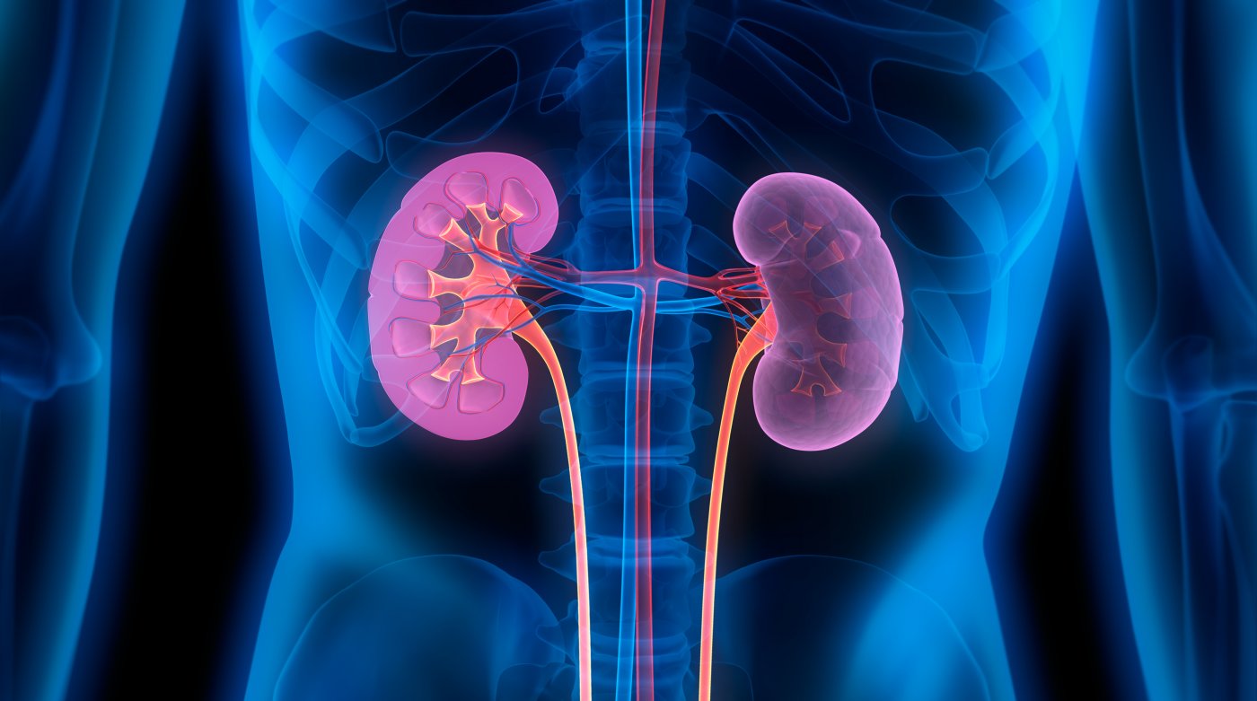 Néphrectomie totale Urologie Tanger — free download